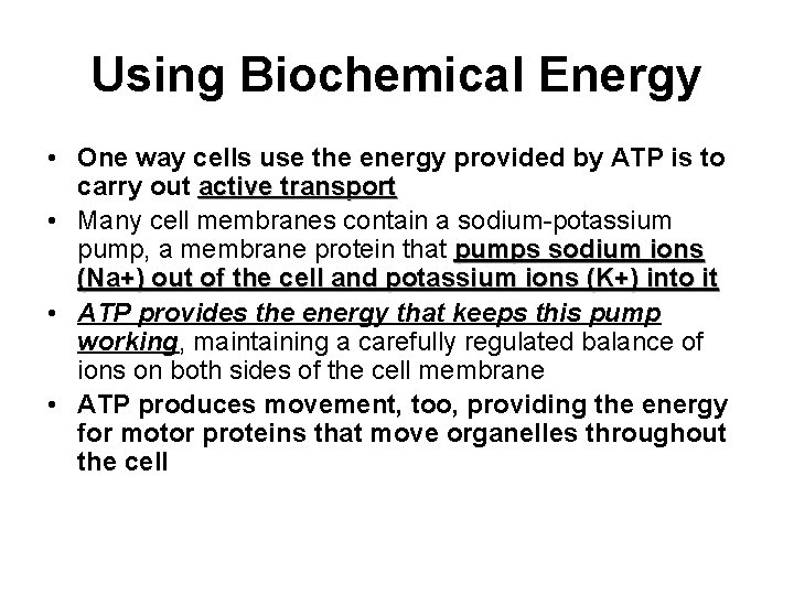 Using Biochemical Energy • One way cells use the energy provided by ATP is