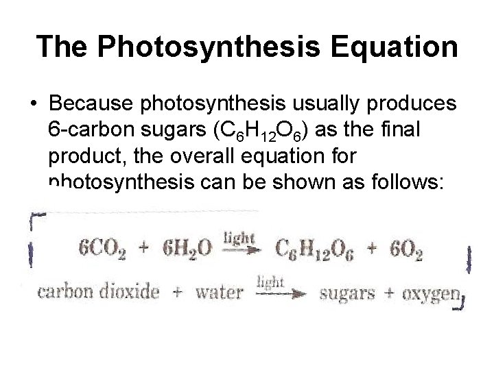 The Photosynthesis Equation • Because photosynthesis usually produces 6 -carbon sugars (C 6 H