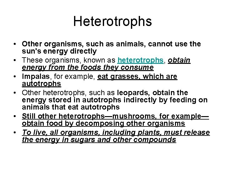 Heterotrophs • Other organisms, such as animals, cannot use the sun's energy directly •