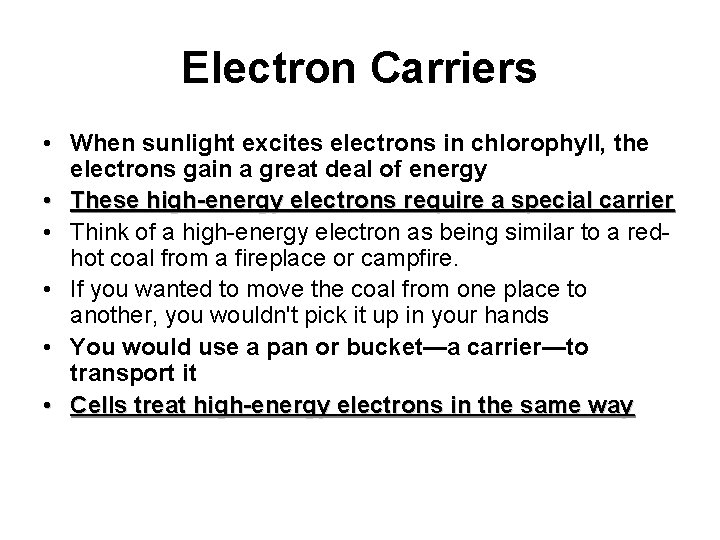 Electron Carriers • When sunlight excites electrons in chlorophyll, the electrons gain a great