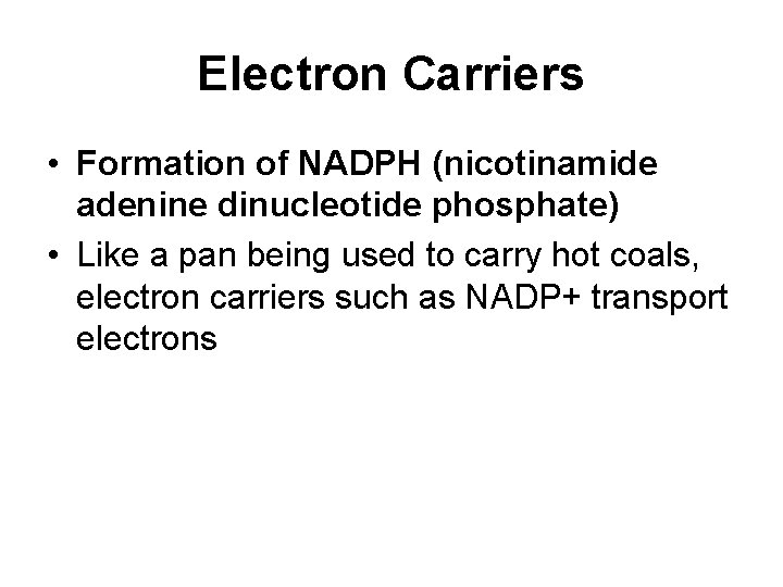 Electron Carriers • Formation of NADPH (nicotinamide adenine dinucleotide phosphate) • Like a pan