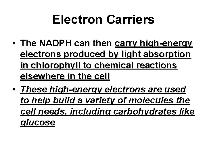 Electron Carriers • The NADPH can then carry high-energy electrons produced by light absorption