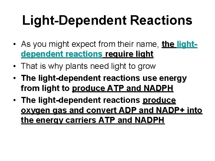 Light-Dependent Reactions • As you might expect from their name, the lightdependent reactions require