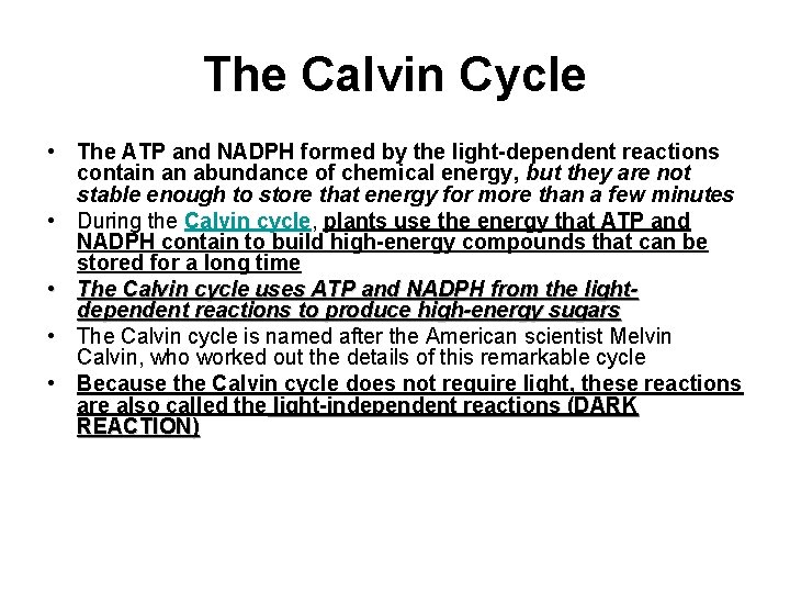 The Calvin Cycle • The ATP and NADPH formed by the light-dependent reactions contain