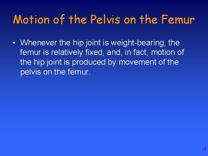 Motion of the Pelvis on the Femur • Whenever the hip joint is weight-bearing,