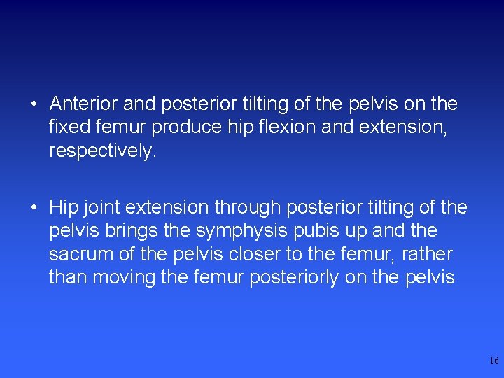  • Anterior and posterior tilting of the pelvis on the fixed femur produce