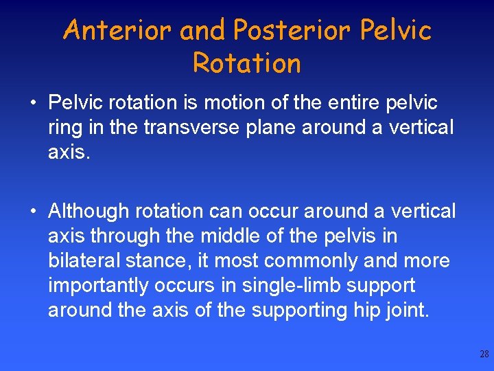 Anterior and Posterior Pelvic Rotation • Pelvic rotation is motion of the entire pelvic