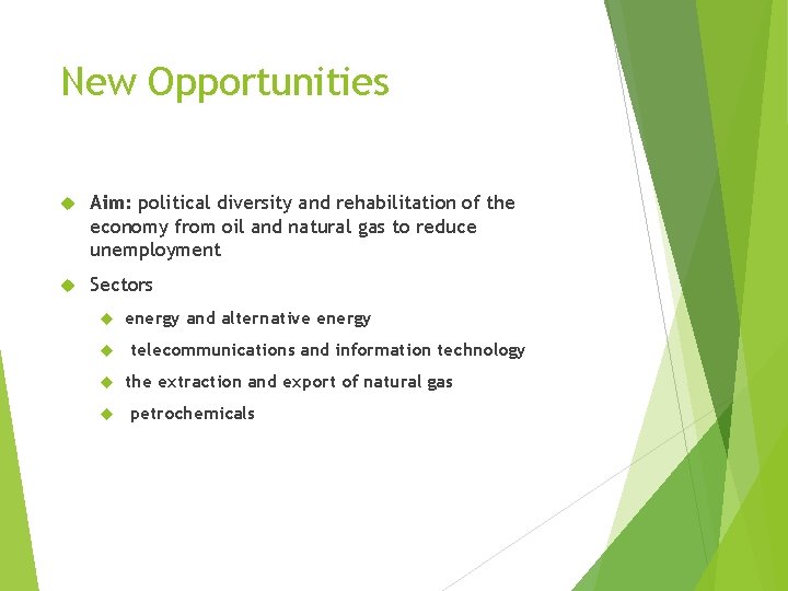 New Opportunities Aim: political diversity and rehabilitation of the economy from oil and natural