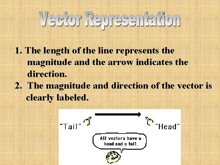 1. The length of the line represents the magnitude and the arrow indicates the