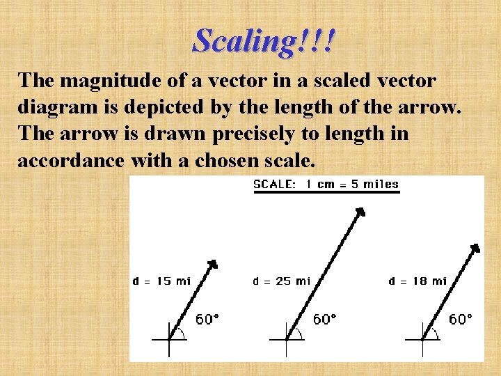 Scaling!!! The magnitude of a vector in a scaled vector diagram is depicted by