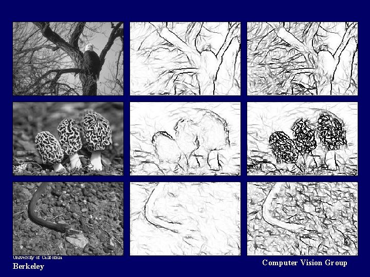 University of California Berkeley Computer Vision Group 