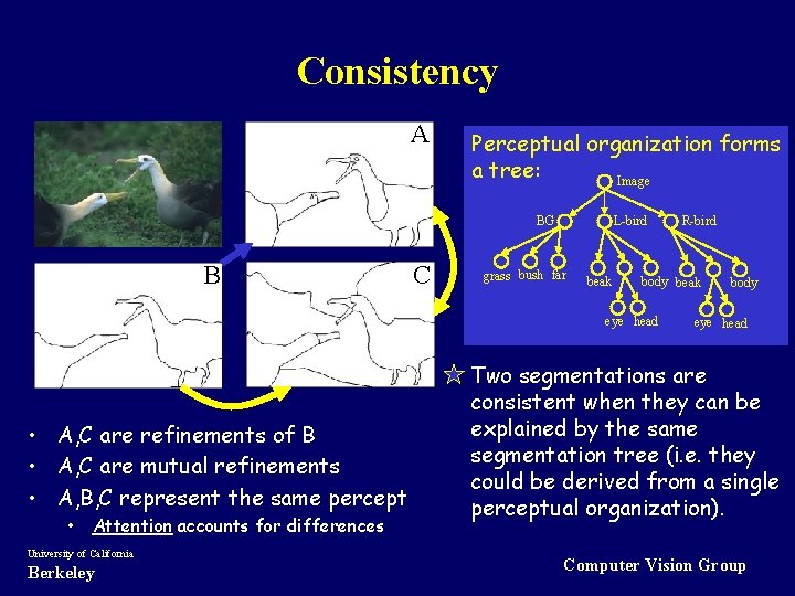 Consistency A Perceptual organization forms a tree: Image BG B C L-bird grass bush