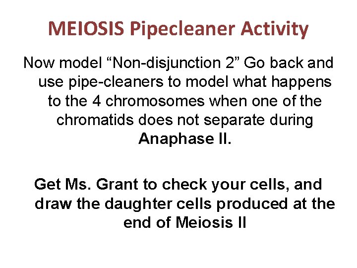 MEIOSIS Pipecleaner Activity Now model “Non-disjunction 2” Go back and use pipe-cleaners to model