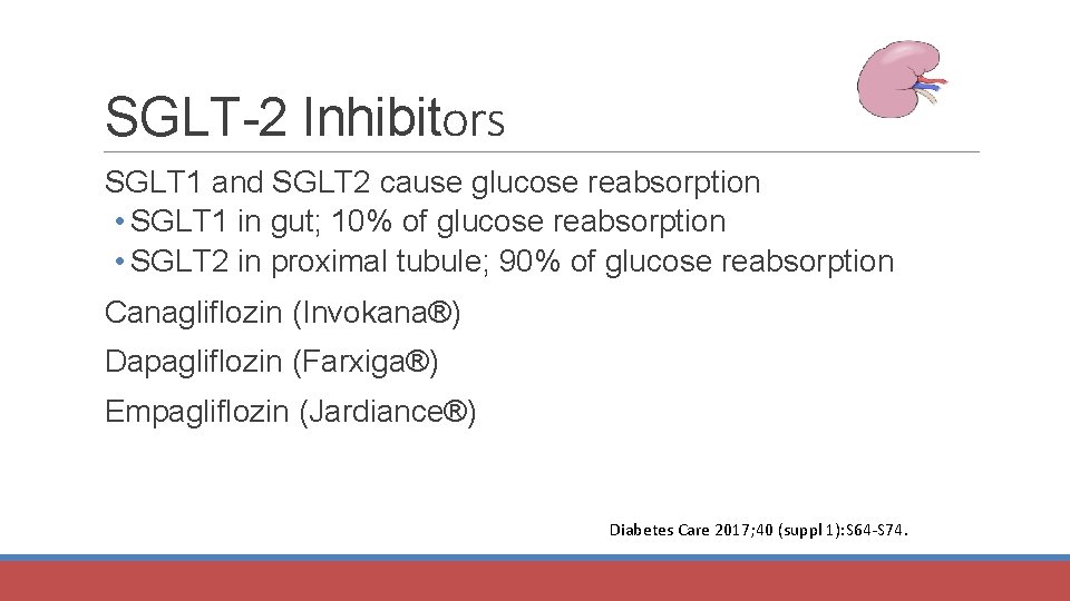 SGLT-2 Inhibitors SGLT 1 and SGLT 2 cause glucose reabsorption • SGLT 1 in