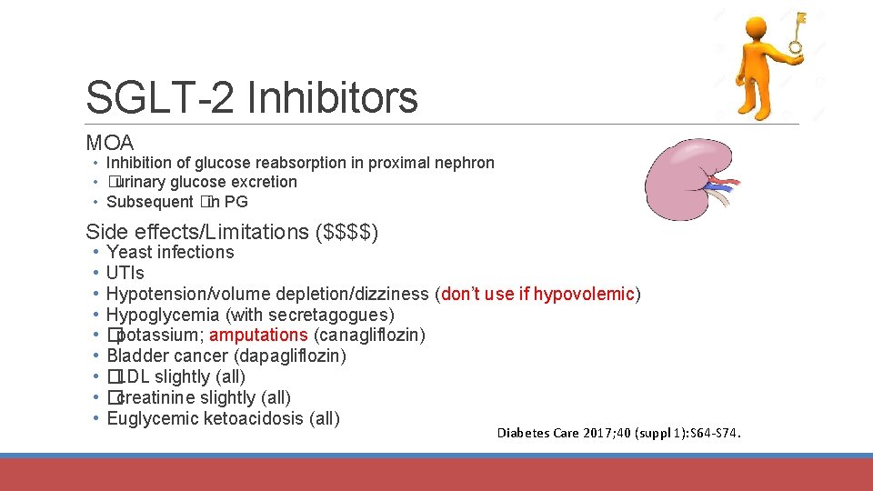 SGLT-2 Inhibitors MOA • Inhibition of glucose reabsorption in proximal nephron • �urinary glucose