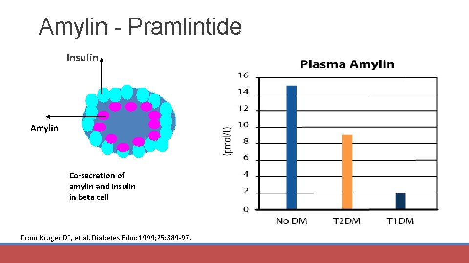 Amylin - Pramlintide Insulin Amylin Co-secretion of amylin and insulin in beta cell From