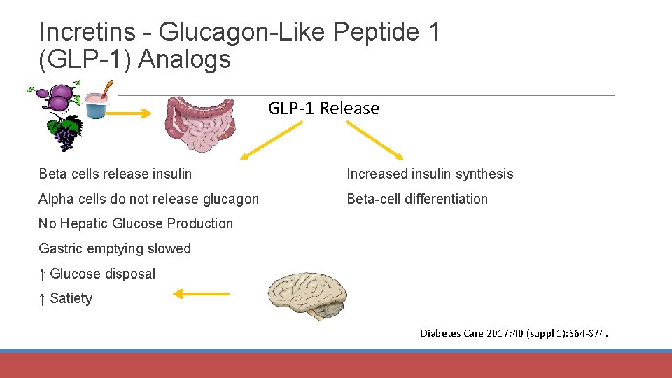 Incretins - Glucagon-Like Peptide 1 (GLP-1) Analogs GLP-1 Release Beta cells release insulin Increased