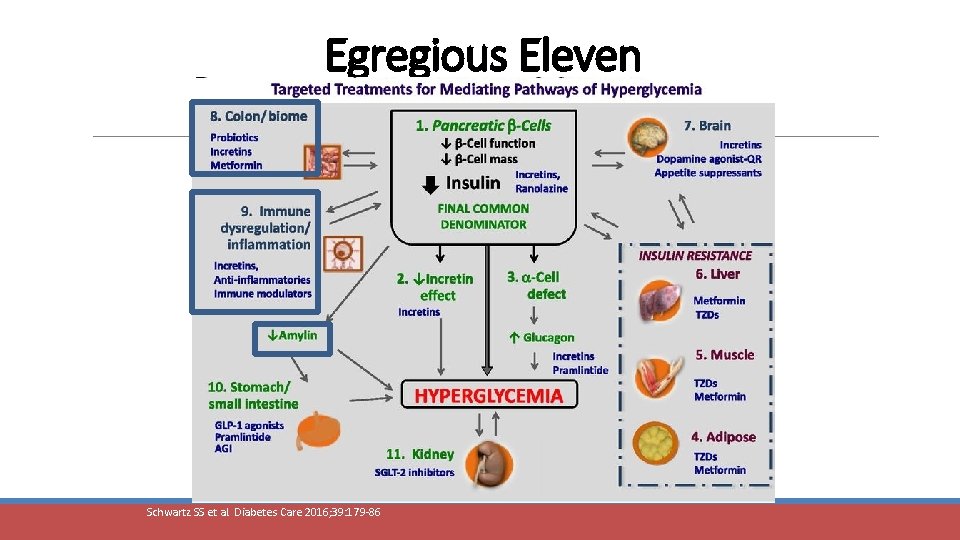 Egregious Eleven Schwartz SS et al. Diabetes Care 2016; 39: 179 -86 