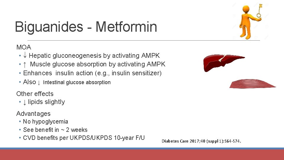 Biguanides - Metformin MOA • Hepatic gluconeogenesis by activating AMPK • ↑ Muscle glucose