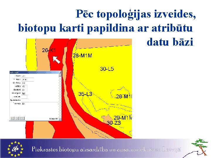 Pēc topoloģijas izveides, biotopu karti papildina ar atribūtu datu bāzi 