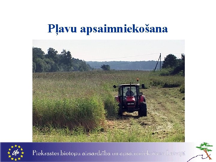 Pļavu apsaimniekošana 