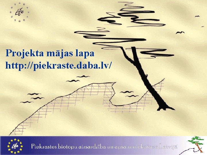 Projekta mājas lapa http: //piekraste. daba. lv/ 