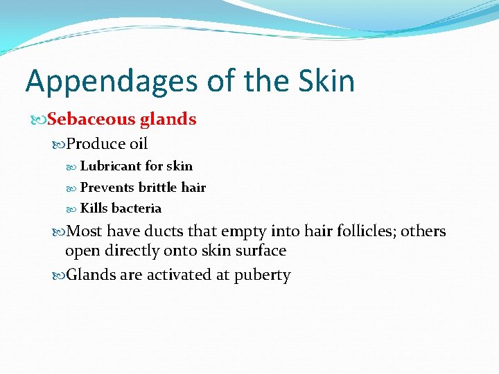 Appendages of the Skin Sebaceous glands Produce oil Lubricant for skin Prevents brittle hair Appendages of the Skin Sebaceous glands Produce oil Lubricant for skin Prevents brittle hair