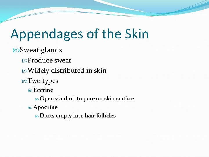 Appendages of the Skin Sweat glands Produce sweat Widely distributed in skin Two types Appendages of the Skin Sweat glands Produce sweat Widely distributed in skin Two types