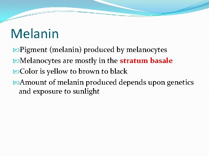 Melanin Pigment (melanin) produced by melanocytes Melanocytes are mostly in the stratum basale Color Melanin Pigment (melanin) produced by melanocytes Melanocytes are mostly in the stratum basale Color