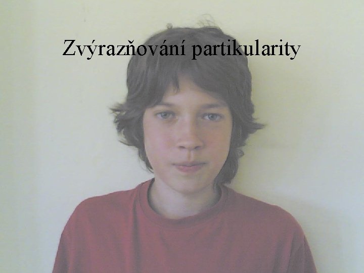 Zvýrazňování partikularity 