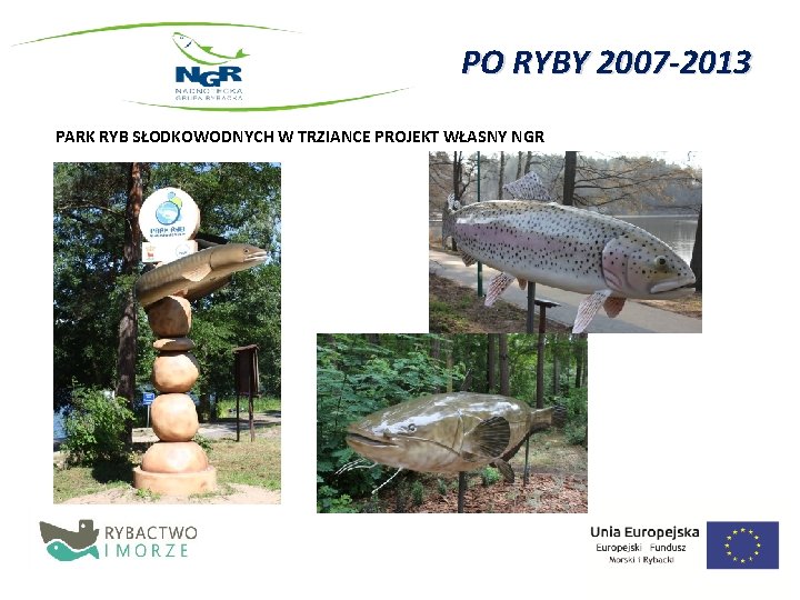 PO RYBY 2007 -2013 PARK RYB SŁODKOWODNYCH W TRZIANCE PROJEKT WŁASNY NGR 