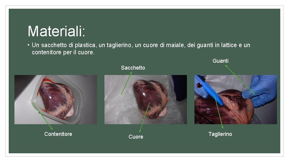 Materiali: • Un sacchetto di plastica, un taglierino, un cuore di maiale, dei guanti