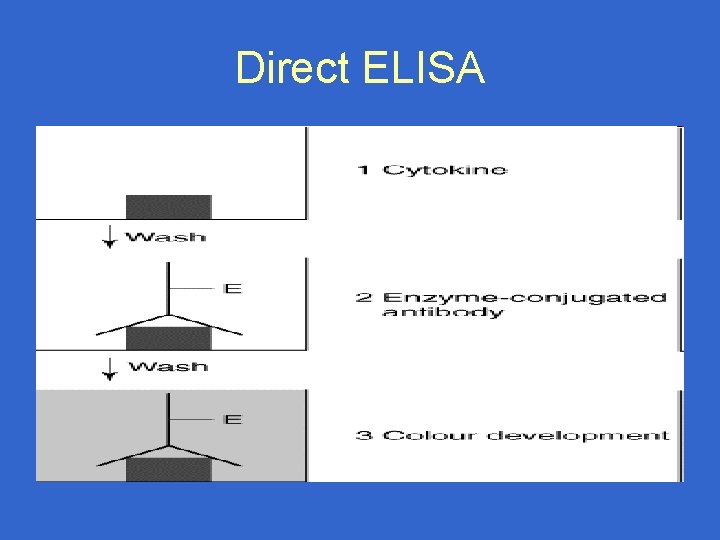 Direct ELISA 