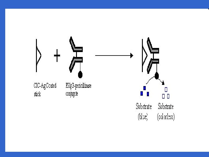 Enzyme Linked Immunosorbent Assay ELISA What is ELISA