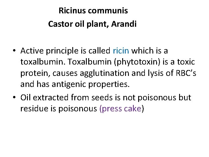 Ricinus communis Castor oil plant, Arandi • Active principle is called ricin which is