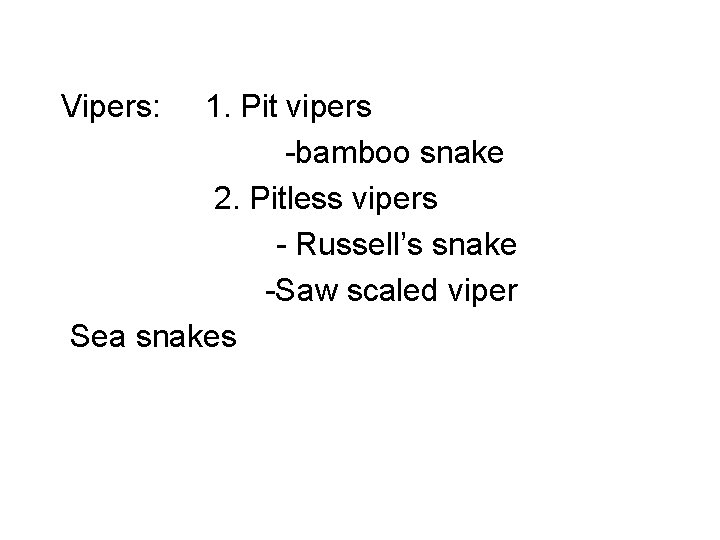 Vipers: 1. Pit vipers -bamboo snake 2. Pitless vipers - Russell’s snake -Saw scaled