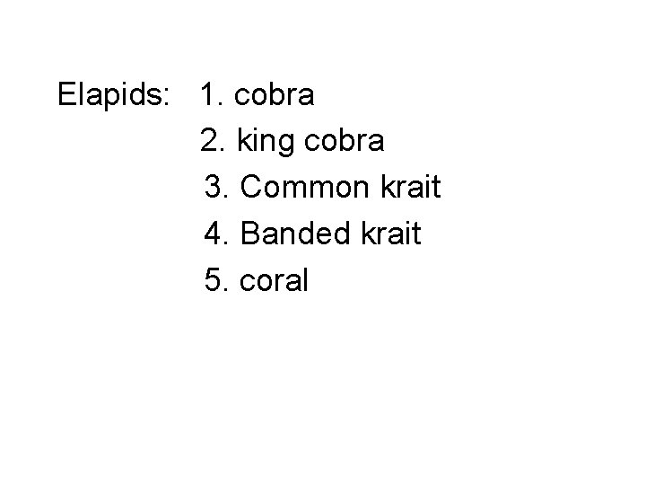 Elapids: 1. cobra 2. king cobra 3. Common krait 4. Banded krait 5. coral