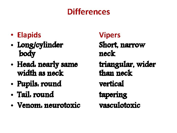 Differences • Elapids • Long/cylinder body • Head: nearly same width as neck •