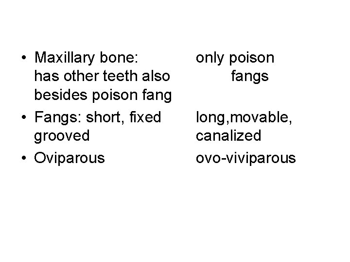  • Maxillary bone: has other teeth also besides poison fang • Fangs: short,