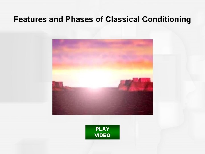 Features and Phases of Classical Conditioning PLAY VIDEO 