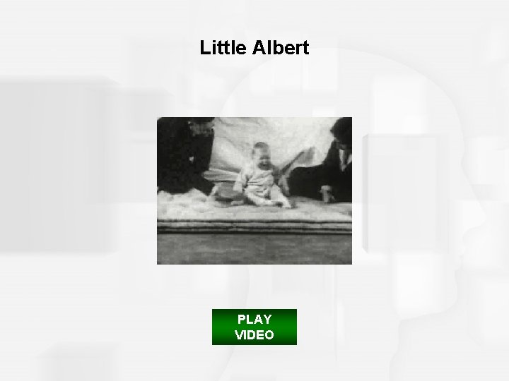 Little Albert PLAY VIDEO 