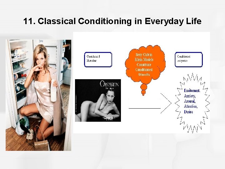 11. Classical Conditioning in Everyday Life 