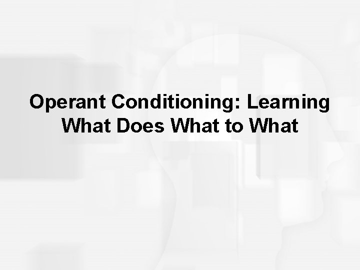 Operant Conditioning: Learning What Does What to What 