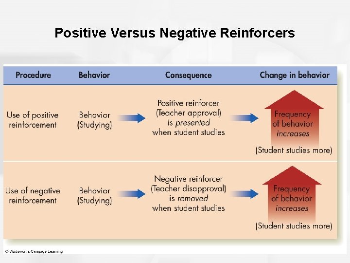 Positive Versus Negative Reinforcers 