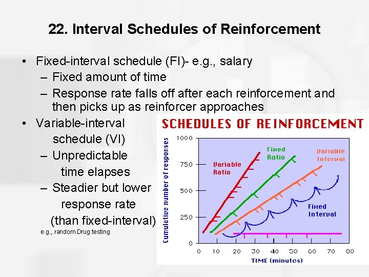 22. Interval Schedules of Reinforcement • Fixed-interval schedule (FI)- e. g. , salary –