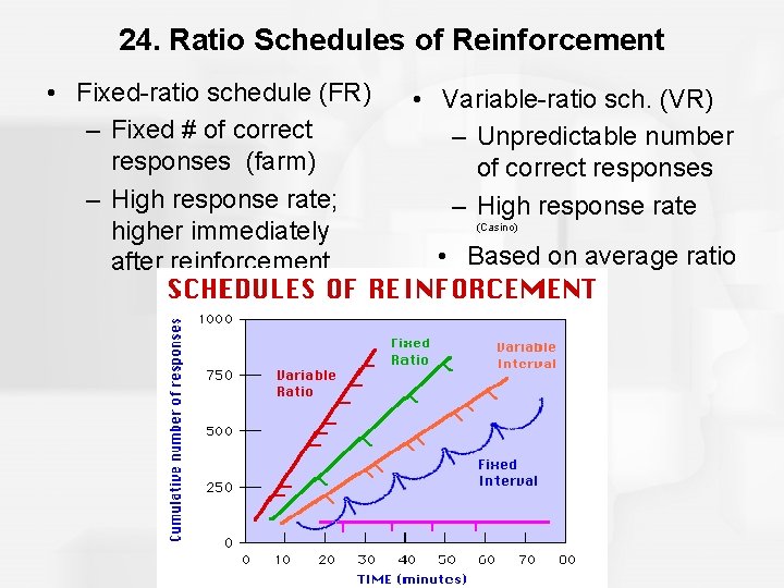 24. Ratio Schedules of Reinforcement • Fixed-ratio schedule (FR) – Fixed # of correct