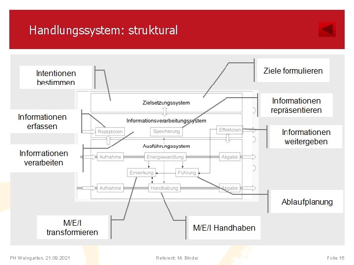 Handlungssystem: struktural PH Weingarten, 21. 09. 2021 Referent: M. Binder Folie 16 