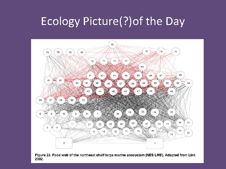 Ecology Picture(? )of the Day 