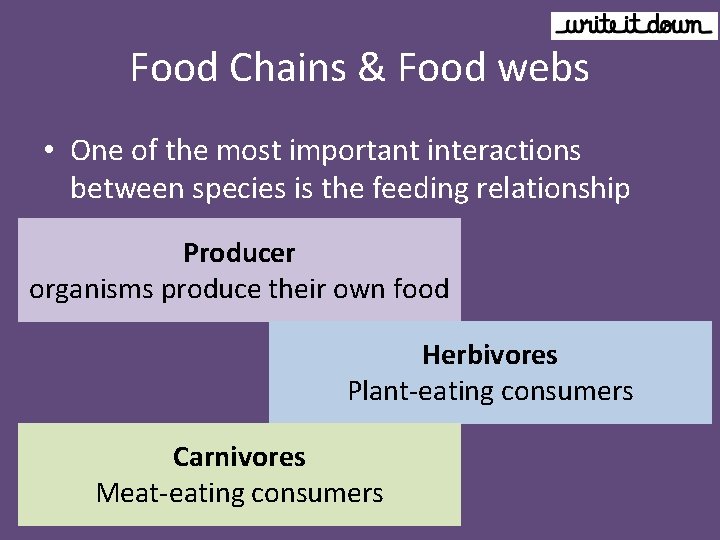 Food Chains & Food webs • One of the most important interactions between species