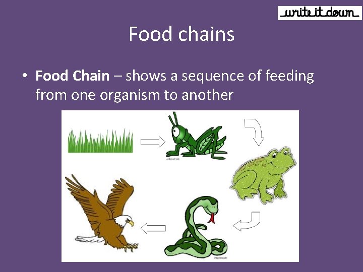 Food chains • Food Chain – shows a sequence of feeding from one organism